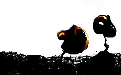 Photograph Max Schendel Oil on One Eyeland
